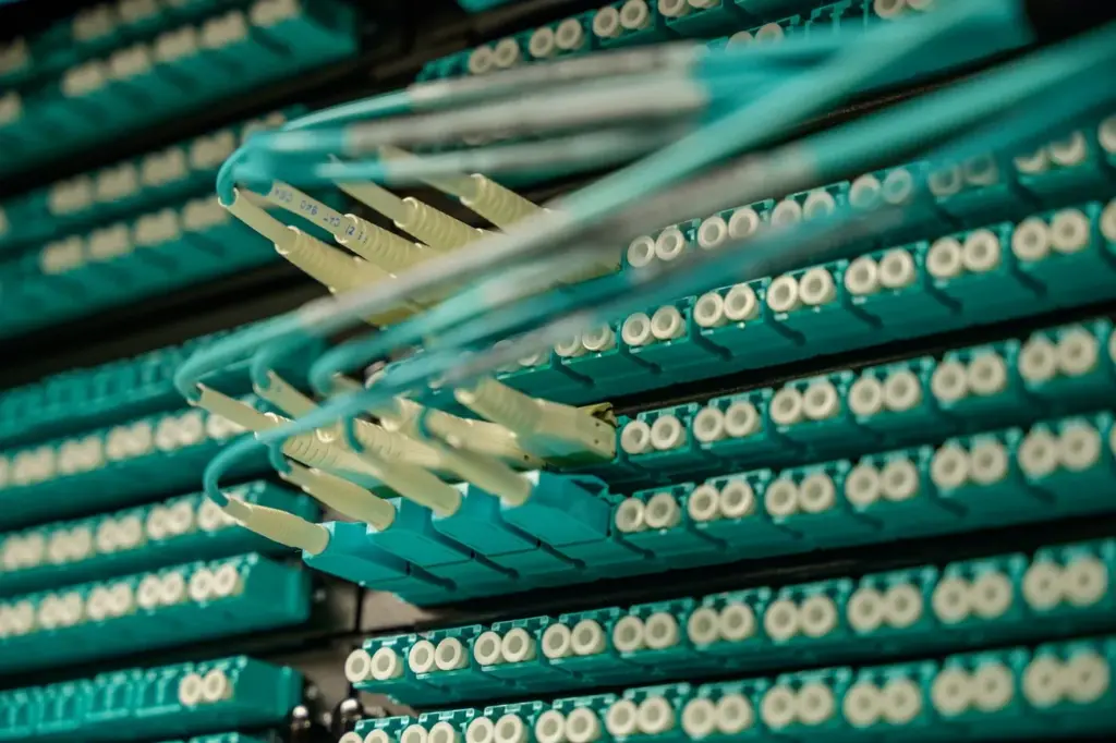 Teal fibre-optic cables plugged into a network patch panel