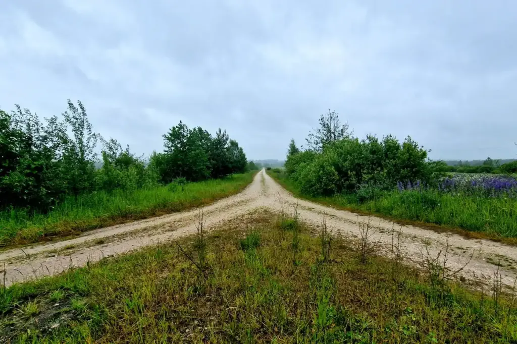 A dirt track splitting into two separate paths leading through green countryside